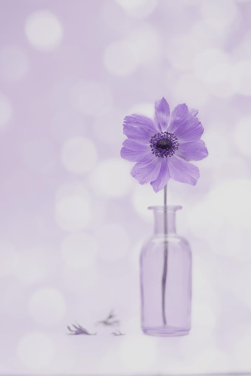 Plastic Bottle Flower Vase