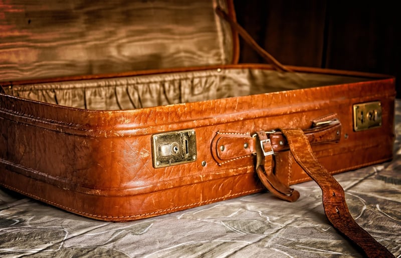 Vintage suitcase planter DIY